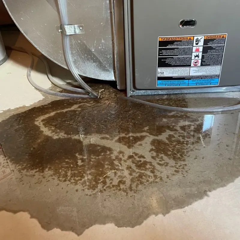 Pipe Burst and Leak Restoration in Caldwell County, NC
